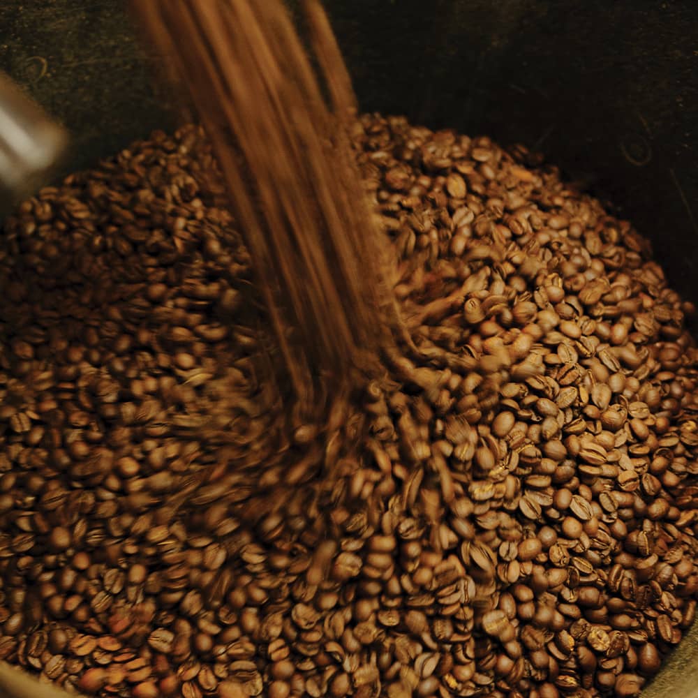 Chris Edgcumbe Rendle Signature Look